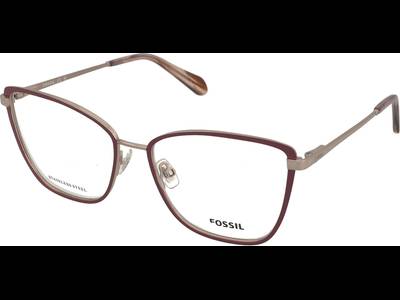 Fossil FOS 7176/G 789 